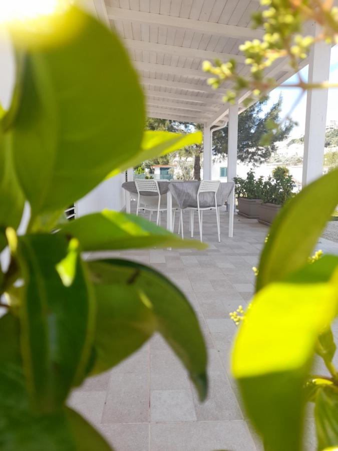 페스키치 La Casa Al Mare 빌라 외부 사진