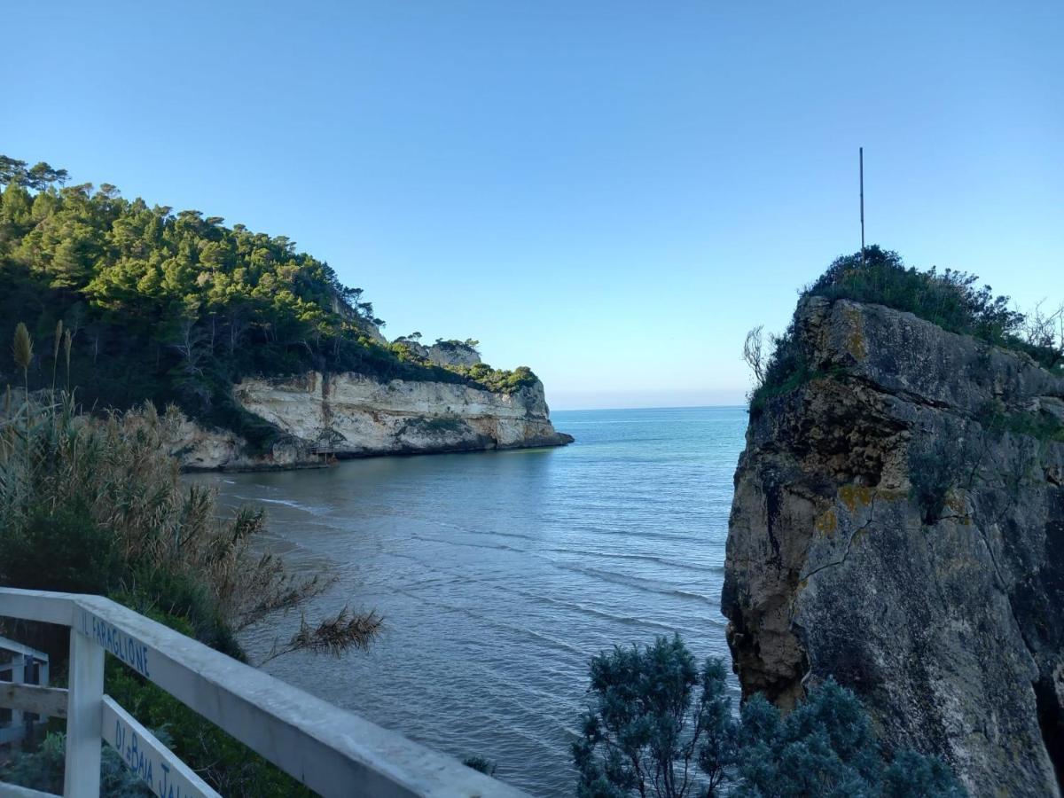 페스키치 La Casa Al Mare 빌라 외부 사진