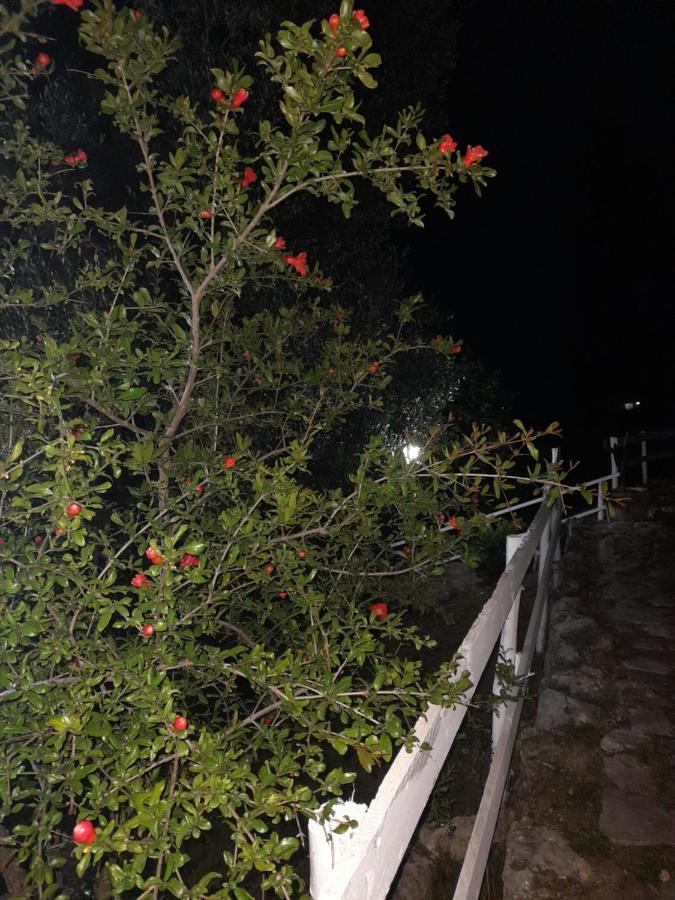 페스키치 La Casa Al Mare 빌라 외부 사진